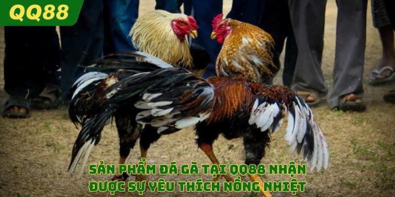 Đá Gà QQ88